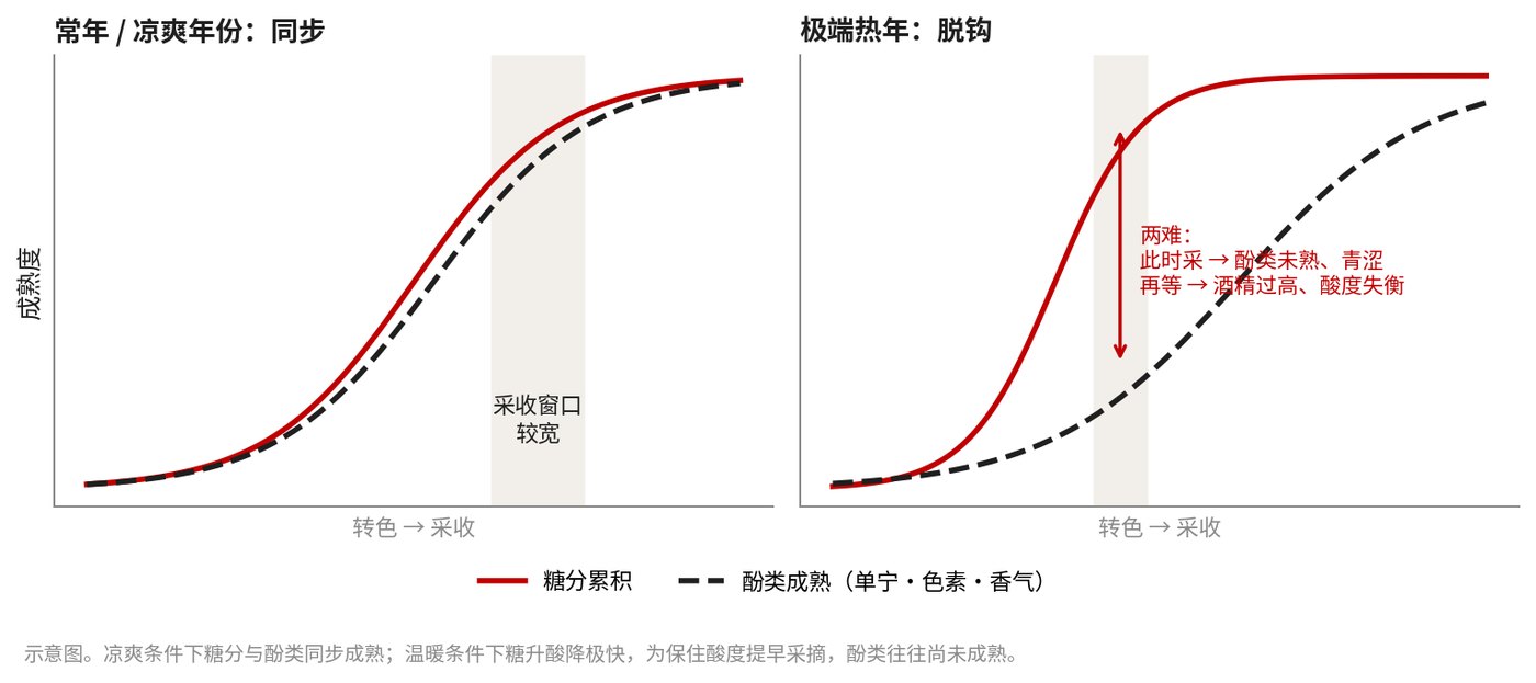 常年/凉爽年份:同步 | 极端热年:脱钩